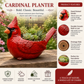 🌿 🐦 Garden Bird Planter Set – Cardinal & Hummingbird